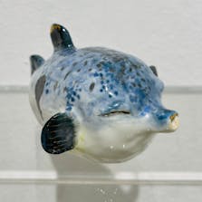 ふぐのこ②